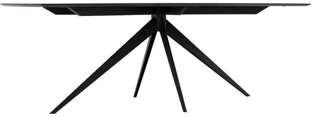 Goossens Excellent Eettafel Uniek, Semi rechthoekig 220 x 100 cm