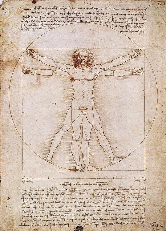 Kunstdruk De Vitruviaanse man, Leonardo Da Vinci, (50 x 70 cm)