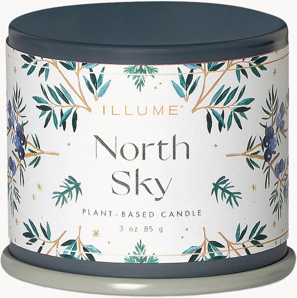 Geurkaars North Sky (citrusvruchten, zwarte bes, ebbenhout)