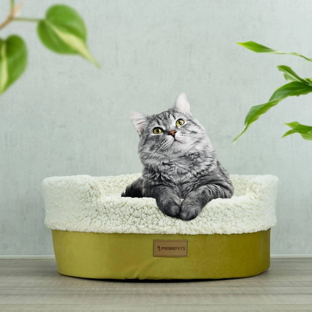 Industrial Living | Kattenmand Primepet