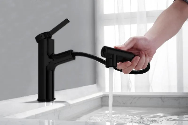 Best Design Asproli wastafelkraan met uittrekbare sproeiuitloop zwart mat