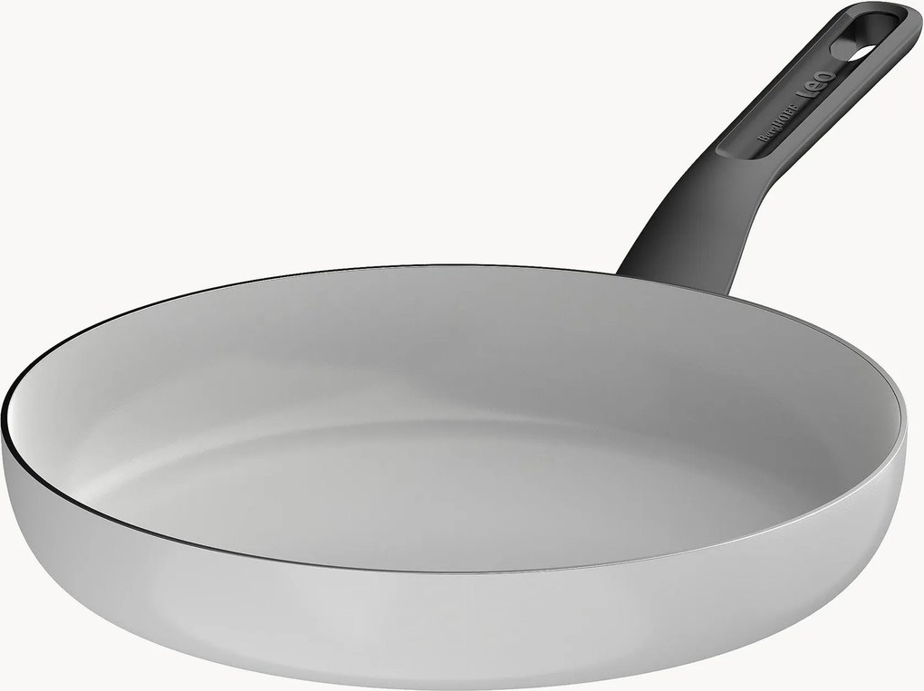 Braadpan Leo Glints met antiaanbaklaag