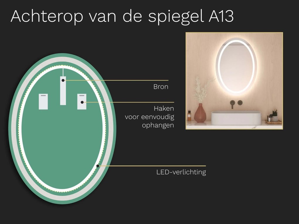 Ovale badkamerspiegel met LED verlichting A13