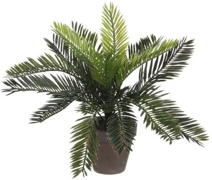 Kunstplant Cycas Palm (h33 cm)