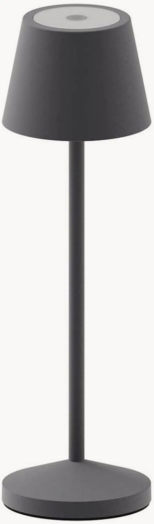 Dimbare in- & outdoor LED-tafellamp Emily met accu