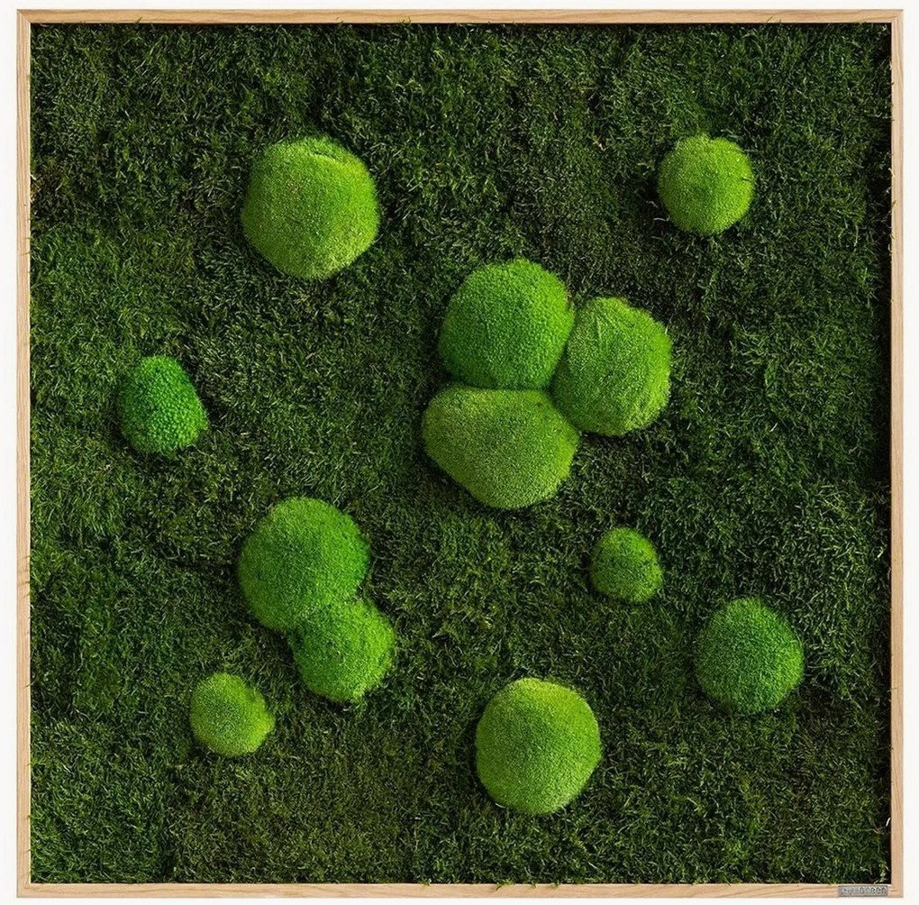 Handgemaakte mos- en bolmoswanddecoratie Wild, ingelijst