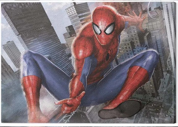 Schilderij op canvas Spider-Man - In Action