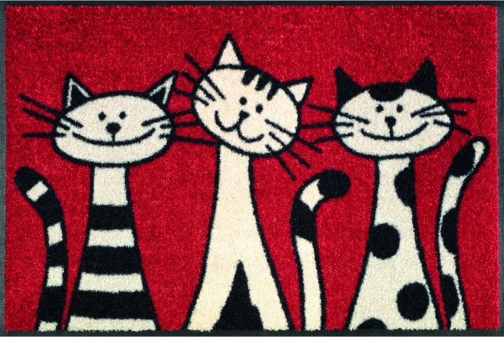 Schoonloopmat Three Cats
