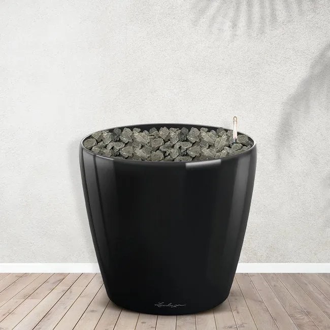 Combideal - Strelitzia Nicolai inclusief zelfwaterende pot Joy M - 200cm