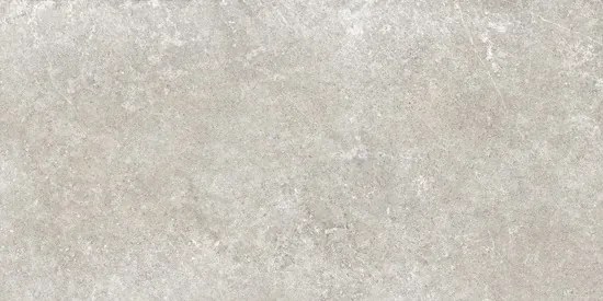 Valence Panillo vloertegel 60x120cm grijs gerectificeerd