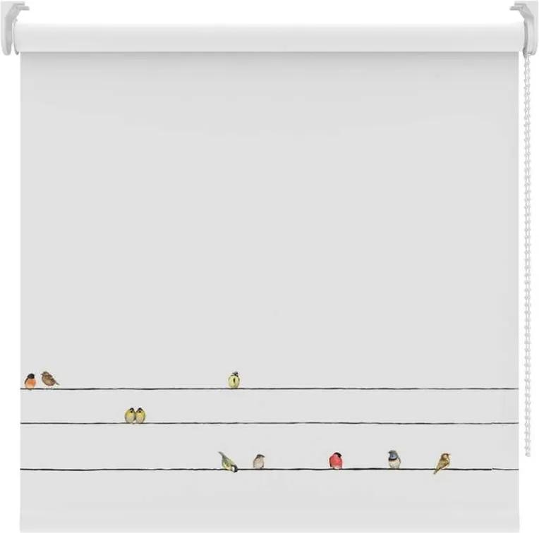 Rolgordijn verduisterend - vogels/wit - 120x190 cm - Leen Bakker