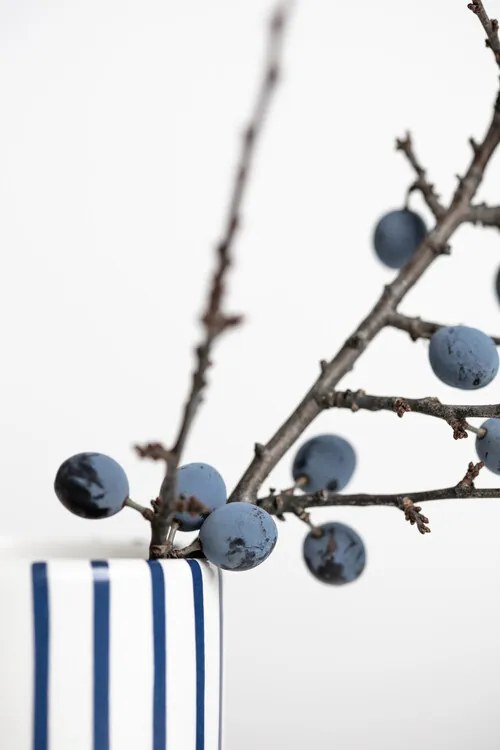 Foto Berries Blue, Studio Collection