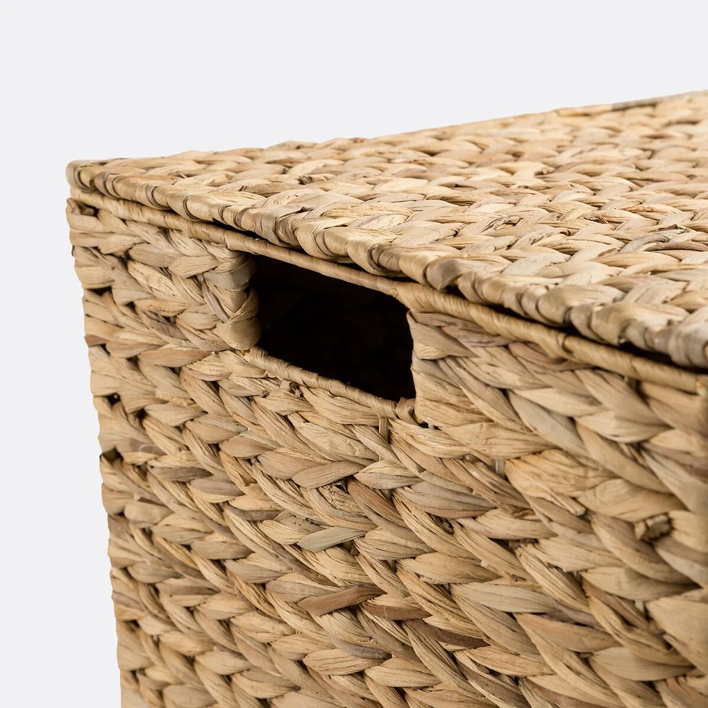 Koffer van waterhyacint, Semra