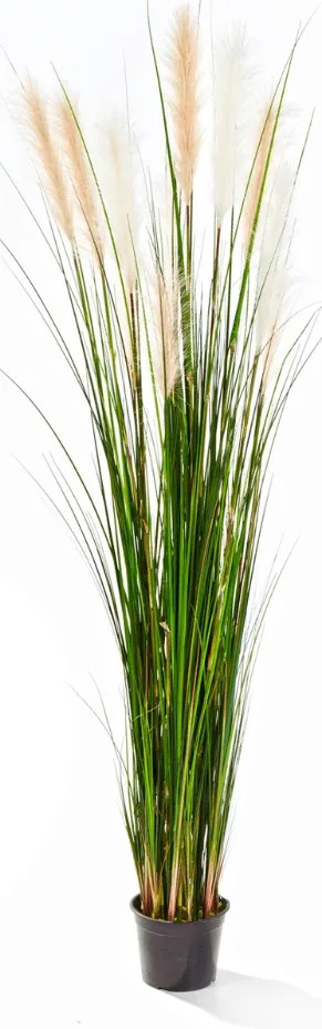 Kunstgras Riet - 180 cm