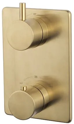 Mueller Gold inbouw regendouche met 20cm hoofddouche en plafondarm 30cm messing geborsteld