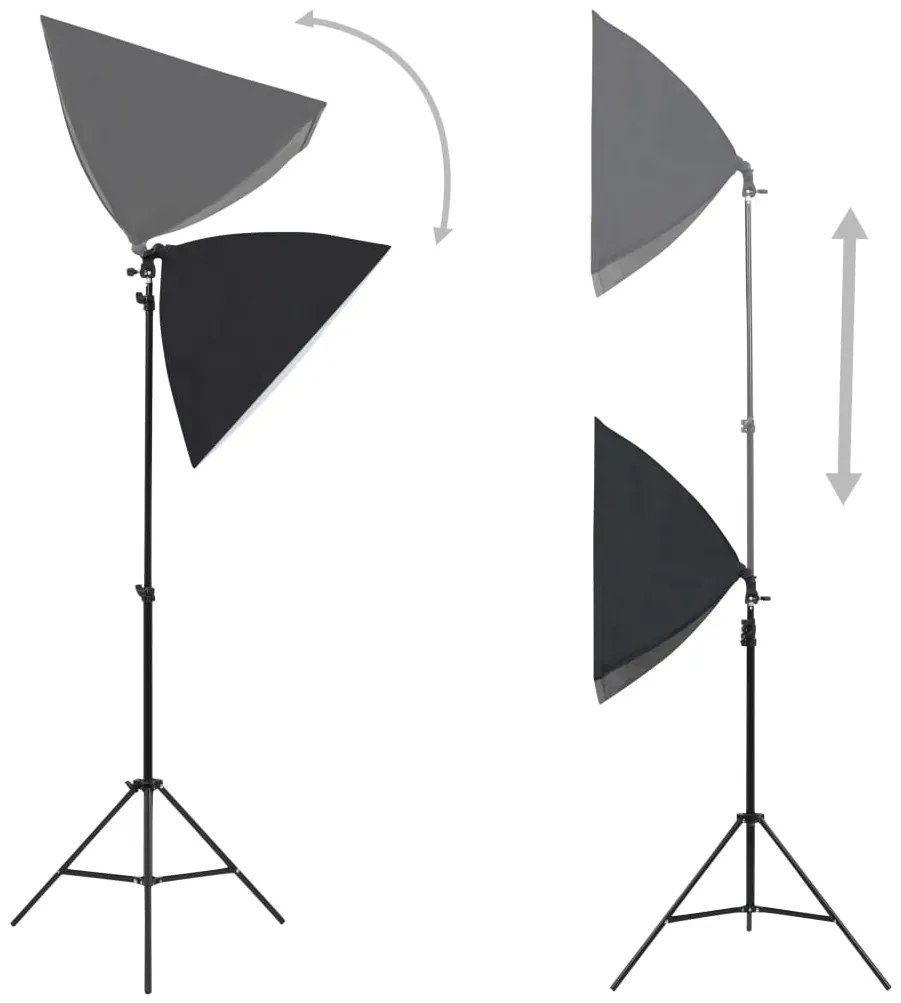 vidaXL Professionele studiolampen 2 st 40x60 cm staal zwart