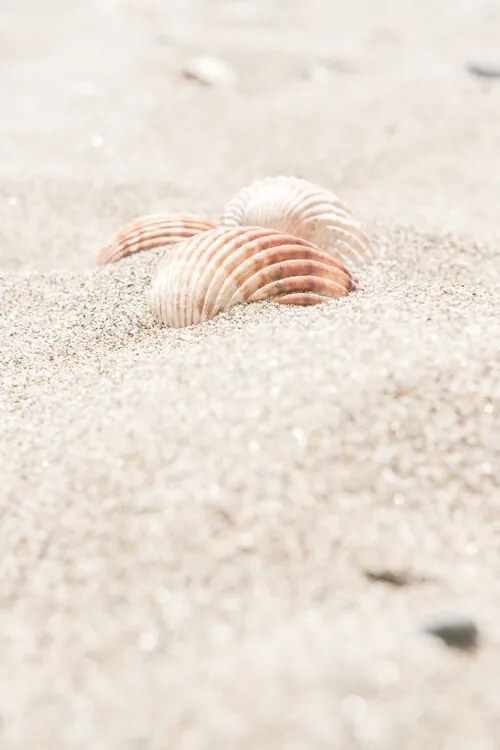 Foto Beach_014, Studio III