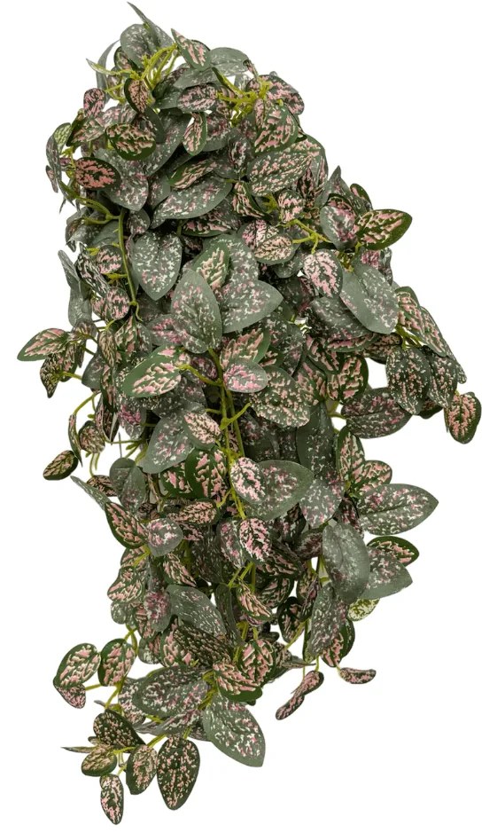 Hypoestes phyllostachya Kunstplant - 40 cm
