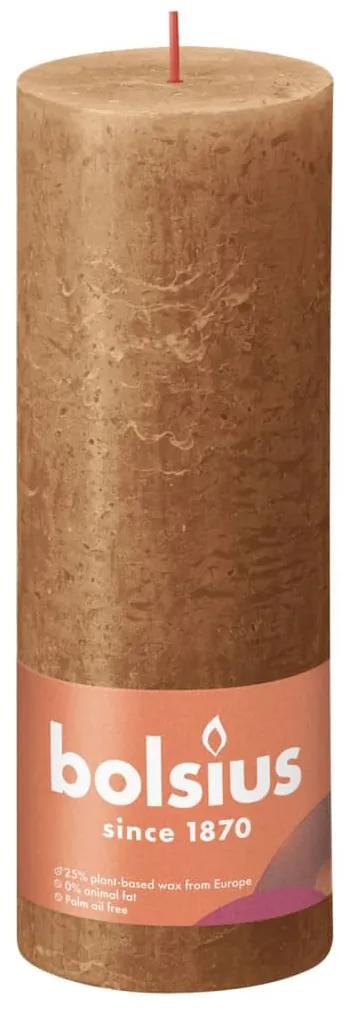 Bolsius Stompkaarsen Shine 4 st rustiek 190x68 mm spice brown