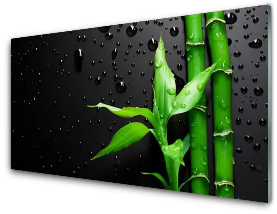 Glas schilderij Bladeren van het bamboe plant 100x50 cm
