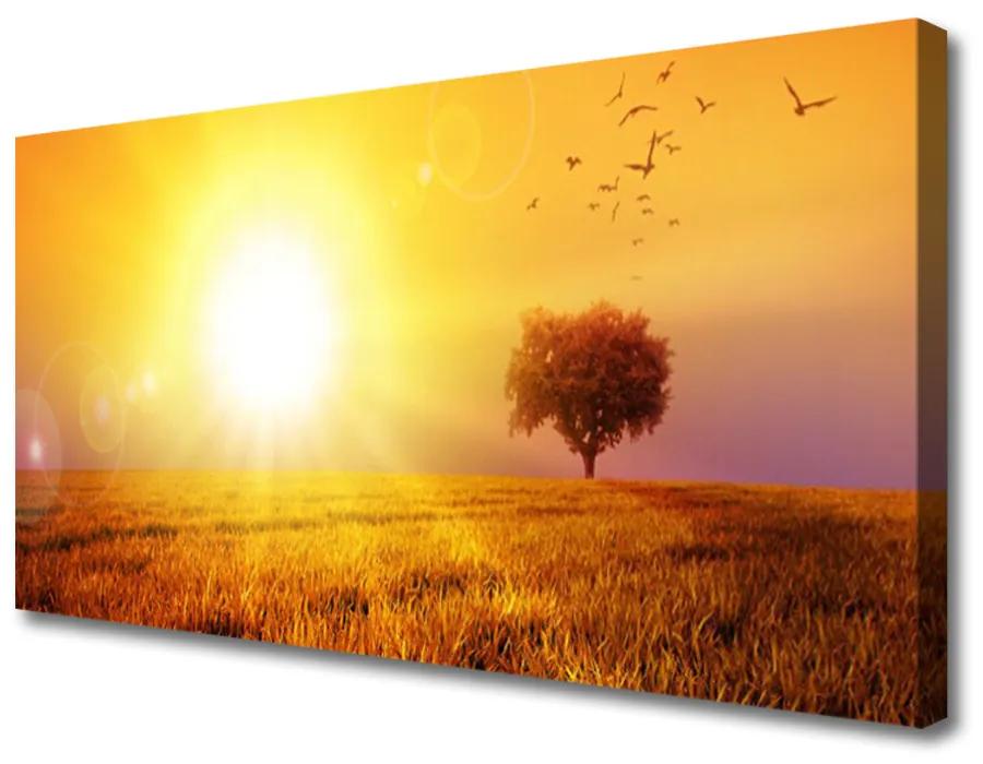 Foto op canvas Sunset weidevogels 100x50 cm