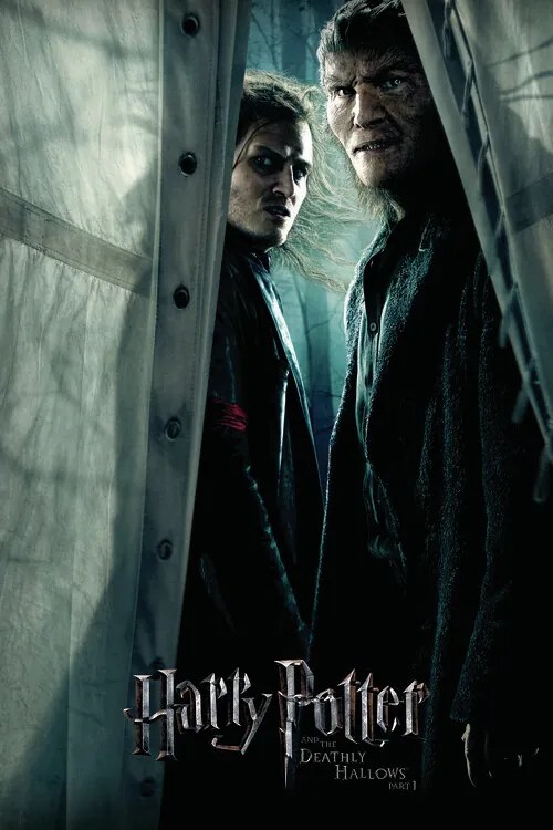 Kunstafdruk Harry Potter - Snatchers