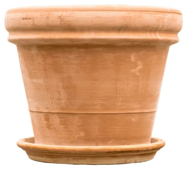 Terracotta pot inclusief schaal