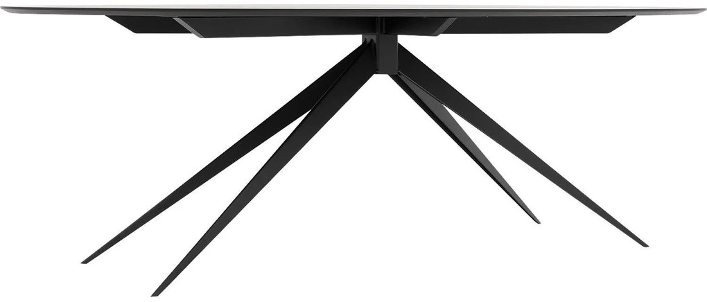 Goossens Excellent Eettafel Uniek, Ovaal 260 x 120 cm