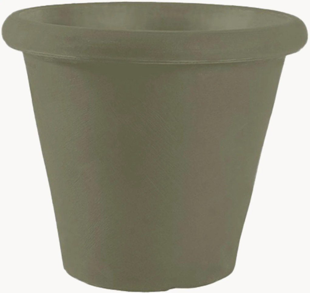 Plantenpot Camelia