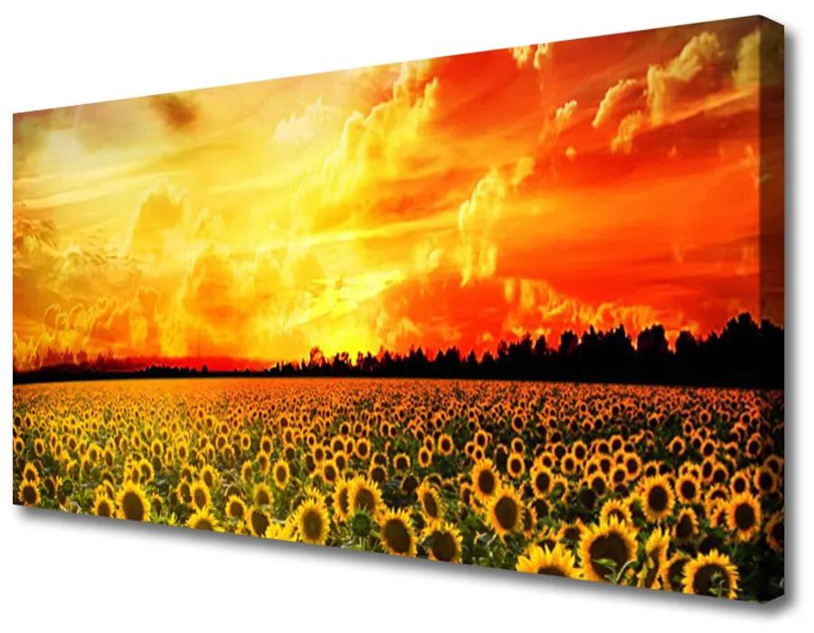 Foto op canvas Zonnebloemen meadow flowers 100x50 cm