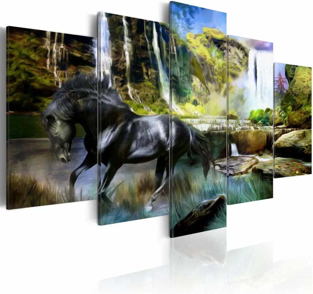 Schilderij - Zwart Paard voor Waterval IV, 5luik