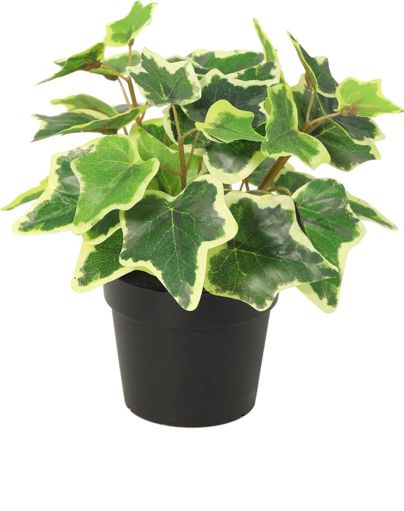 Kunst White Ivy - 19cm