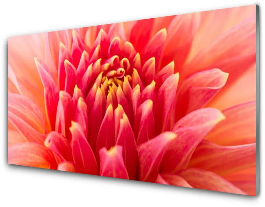 Plexiglas schilderij Natuur bloem plant 100x50 cm