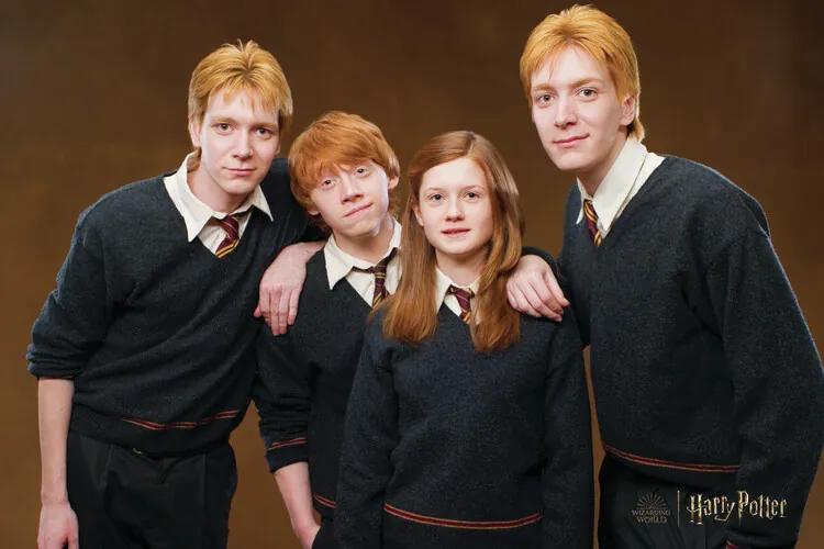 Kunstafdruk Harry Potter - Weasley family, (40 x 26.7 cm)
