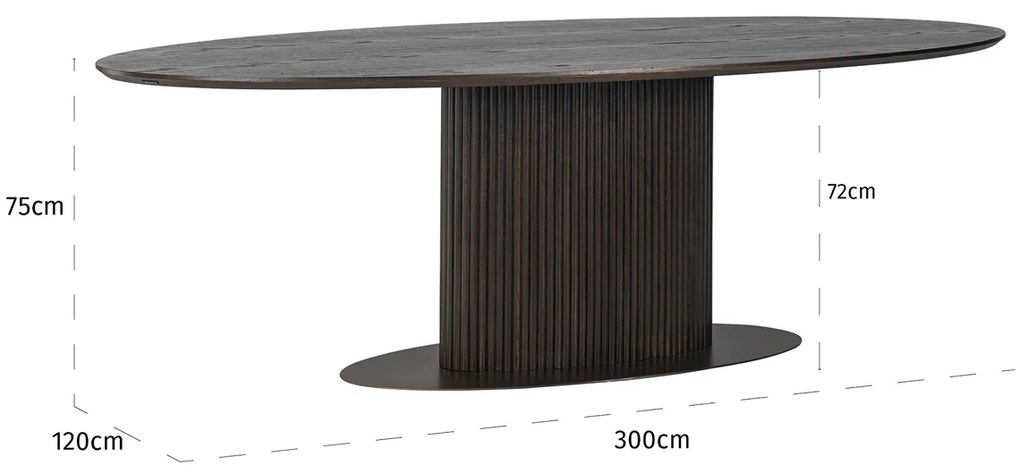 Ovale Eettafel 300 Cm - 300 X 120cm.