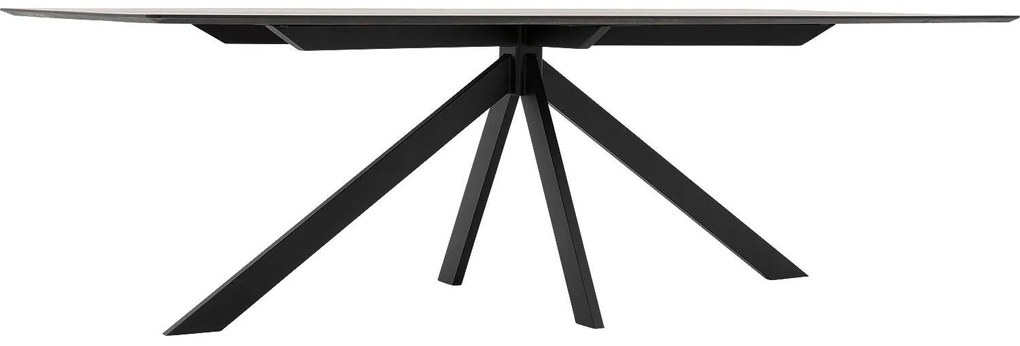 Goossens Excellent Eettafel Uniek, Rechthoekig 260 x 100 cm