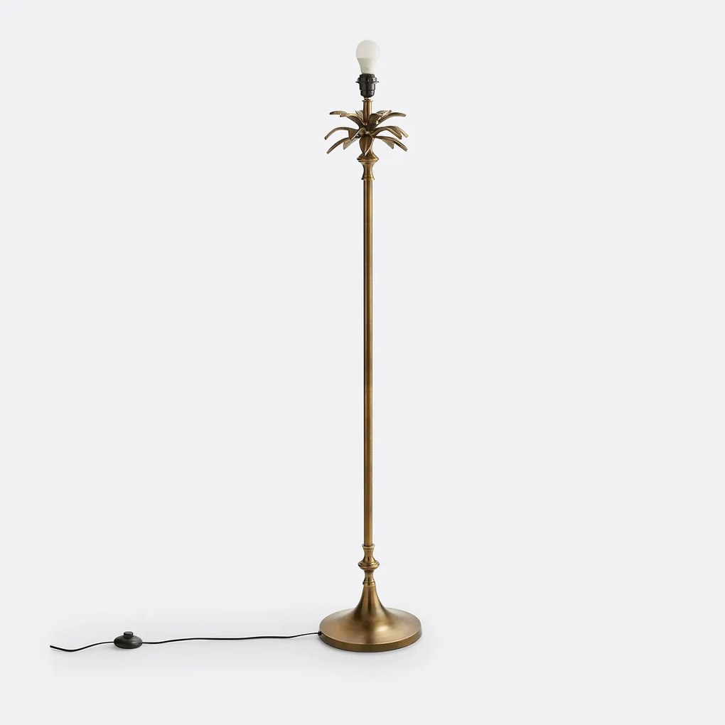 Lampenvoet palmboom, Yvor