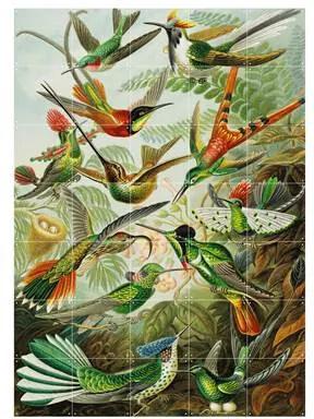 Hummingbirds Wandsysteem 140 x 100 cm