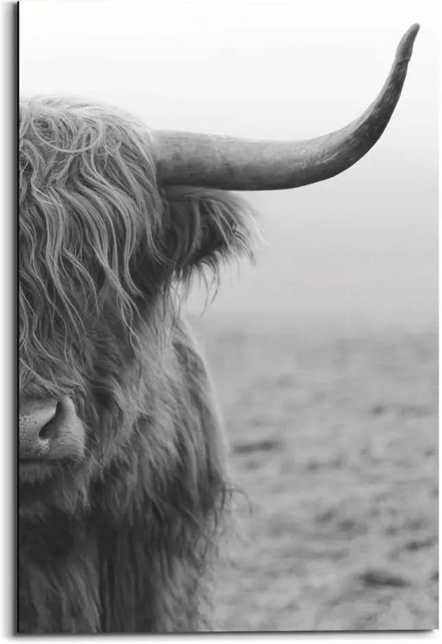 Reinders wandpaneel Schotse Hooglander - zwart/wit - 60x90cm - Leen Bakker