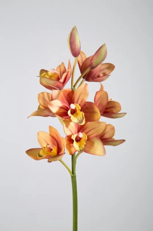 Orchidee Cymbidium - zijden bloem - bruin oranje - topkwaliteit