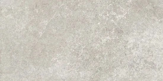Valence Panillo vloertegel 60x120cm grijs gerectificeerd