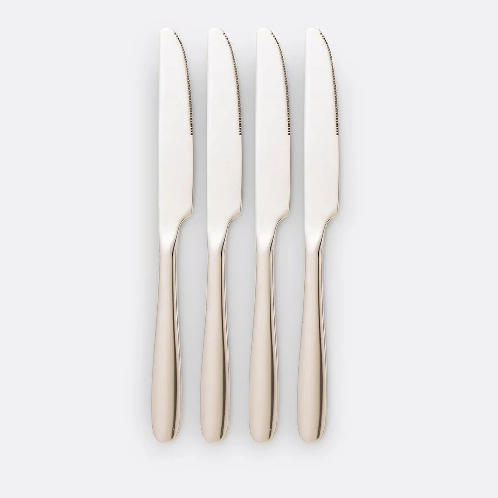 Set van 4 messen in inox, Ebano
