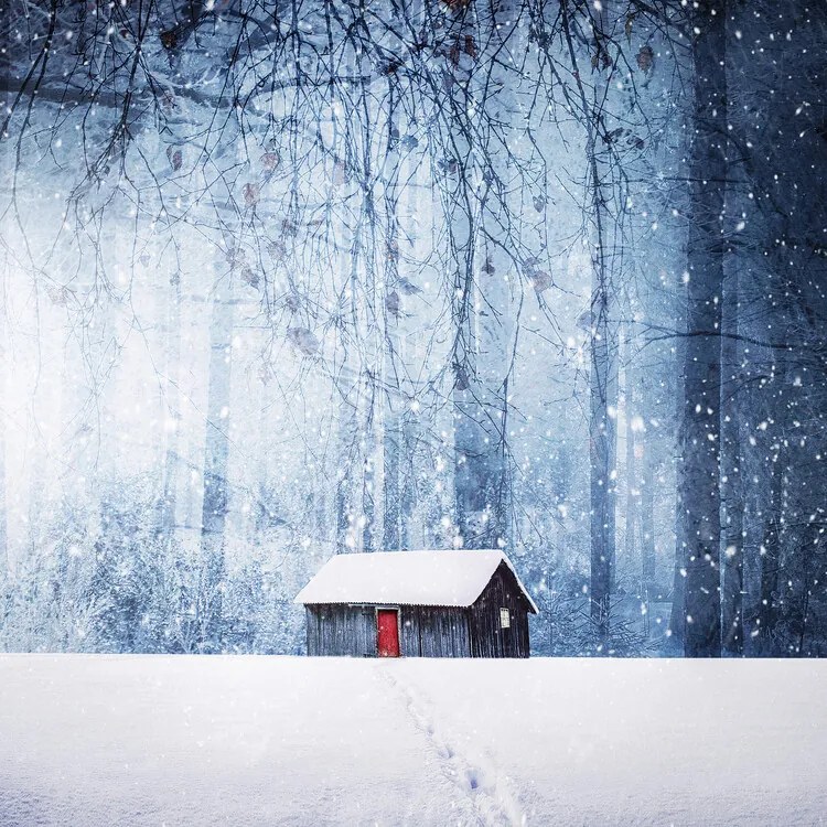 Foto Winter, Bess Hamiti