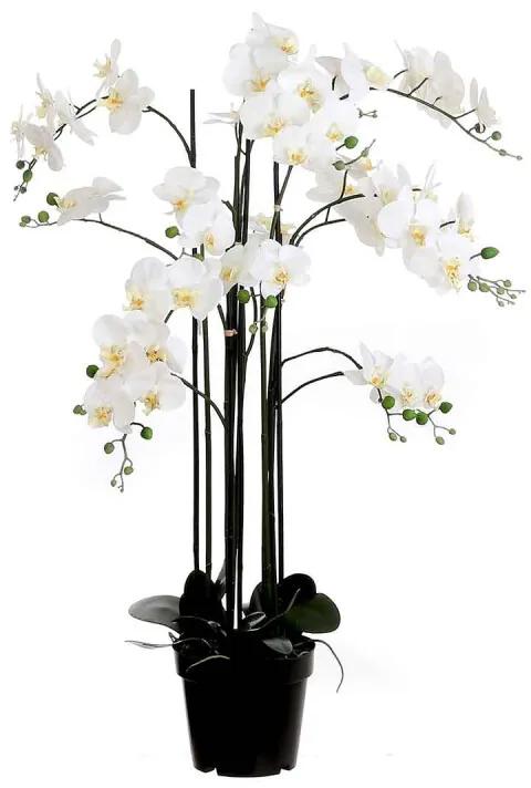 Orchidee in plastic pot creme maat in cm: 35 x 35 x 117