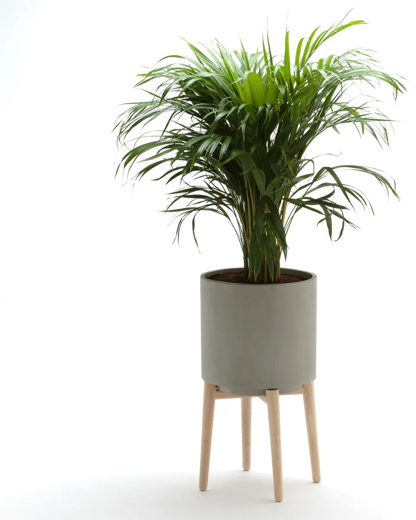 Bloempot op poot in hevea,  H58,5cm, Florian