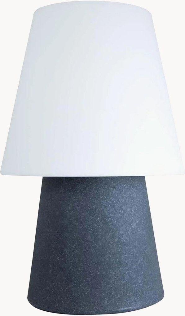 Dimbare in- & outdoor LED decoratieve lamp No. 1