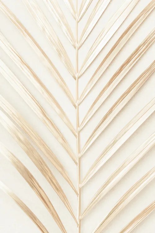 Foto Golden Palm Leaf, Studio Collection