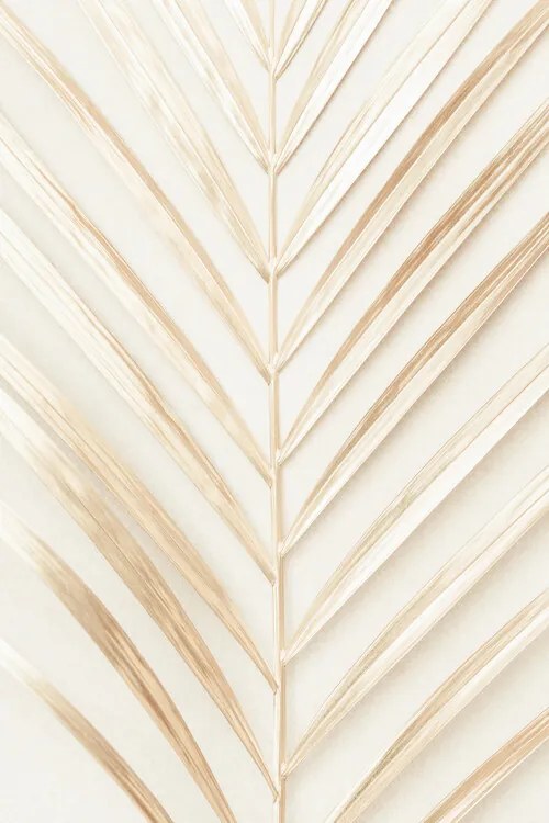 Fotobehang Golden Palm Leaf, (85 x 128 cm)