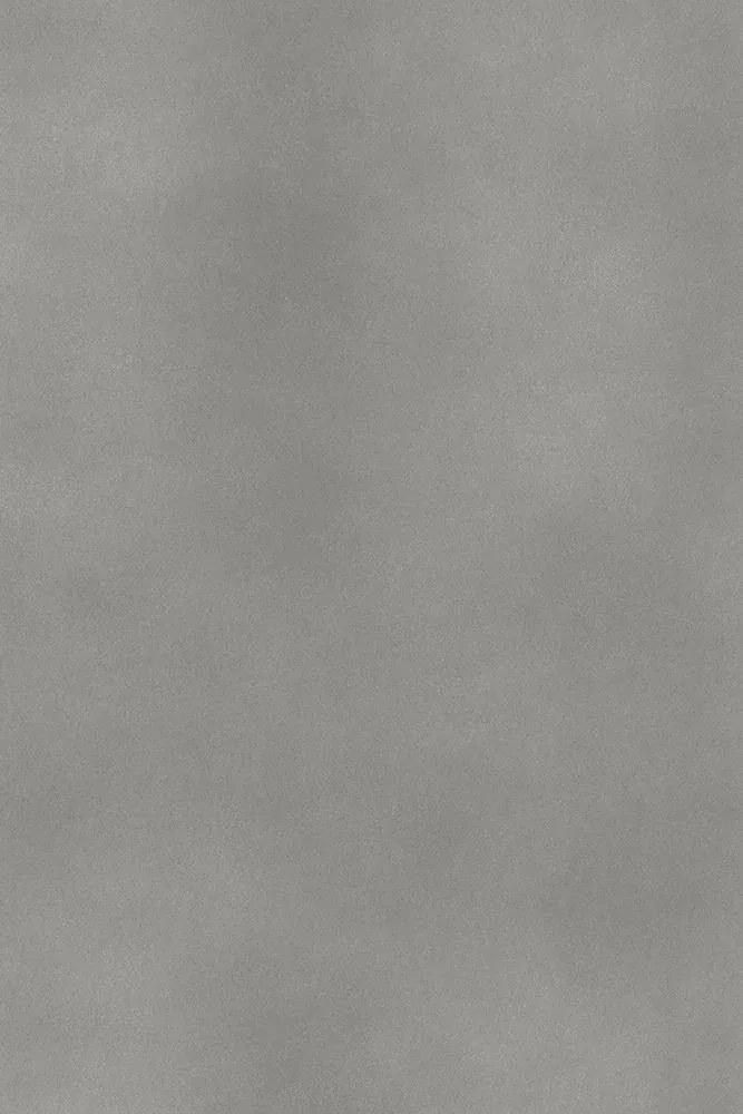 KS Vinyl wandpaneel 60x260cm leigrijs