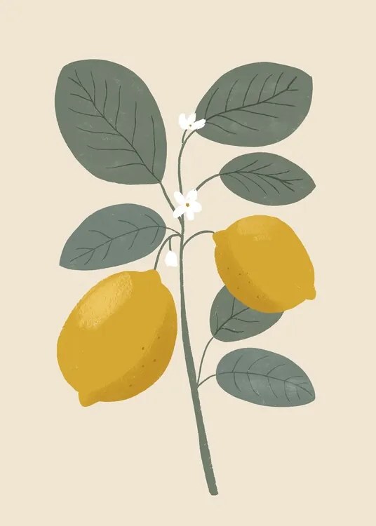 Ilustratie Lemon flower, Katarzyna Gąsiorowska